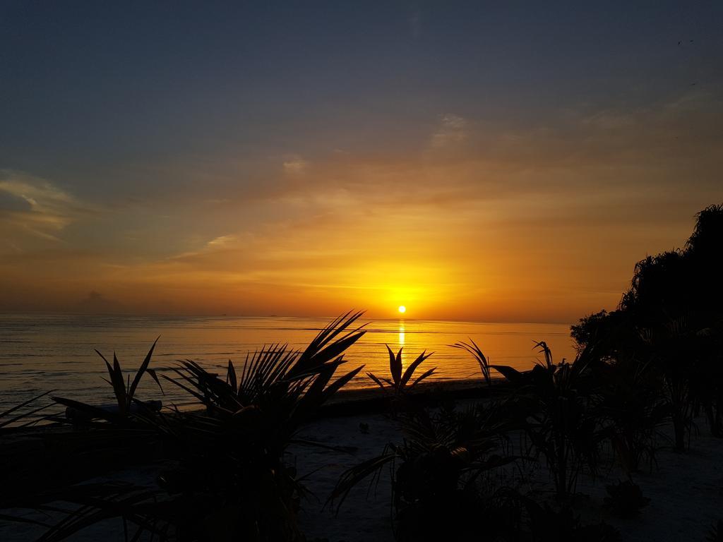 Island Guest Hotel Maamendhoo ภายนอก รูปภาพ