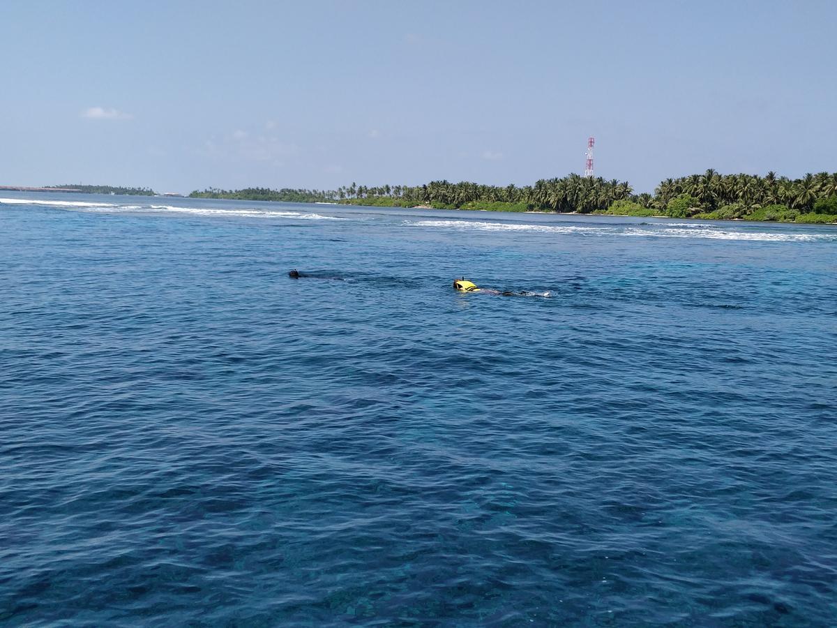 Island Guest Hotel Maamendhoo ภายนอก รูปภาพ